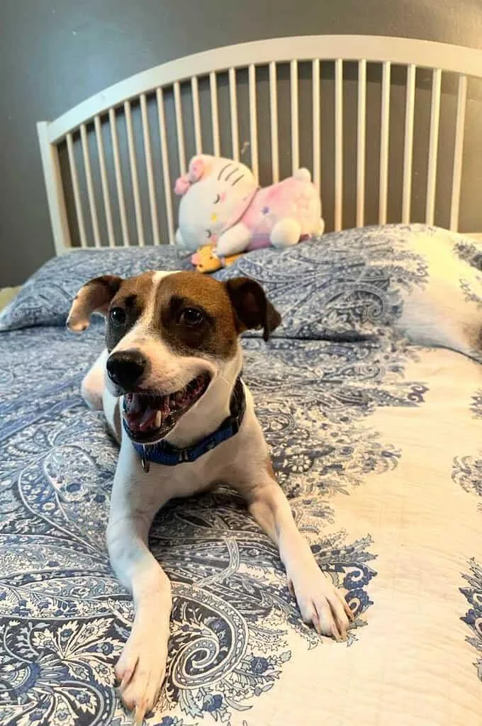 Mona Lisa thumbnail 6