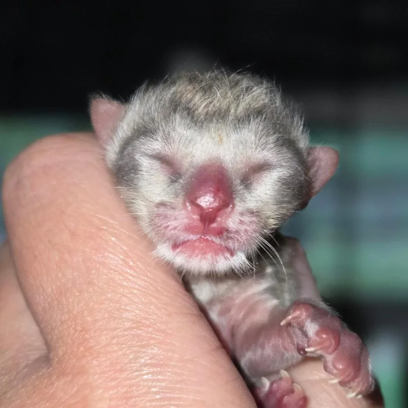Tiny thumbnail 2