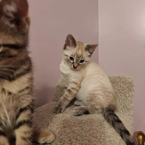 Bubbles thumbnail 2