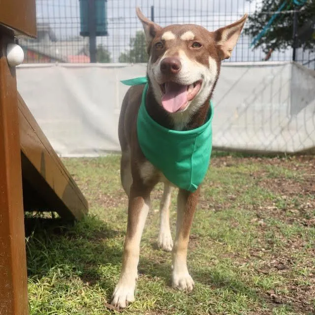 Vanellope thumbnail 2