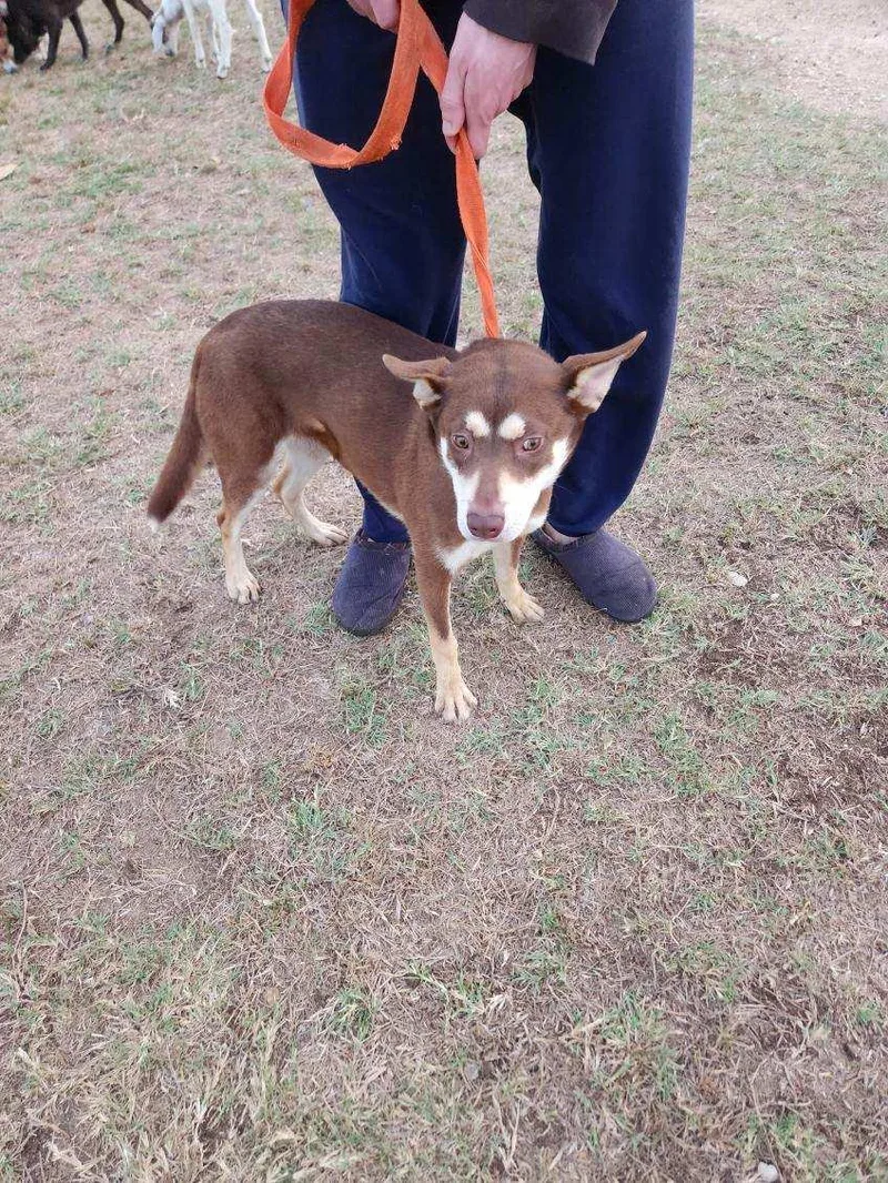 Vanellope thumbnail 4