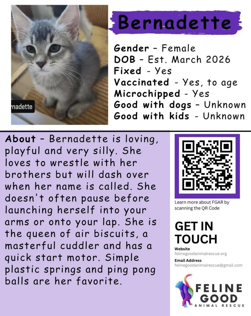 Bernadette thumbnail 5