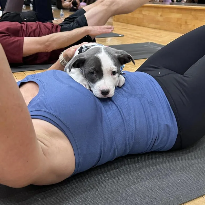 Lucky Charms thumbnail 2