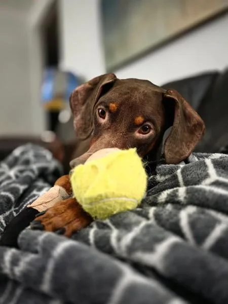 Copper