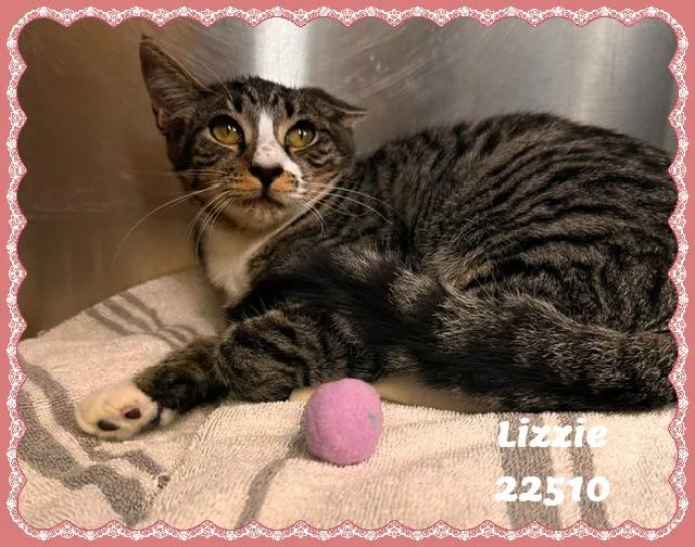 Lizzie