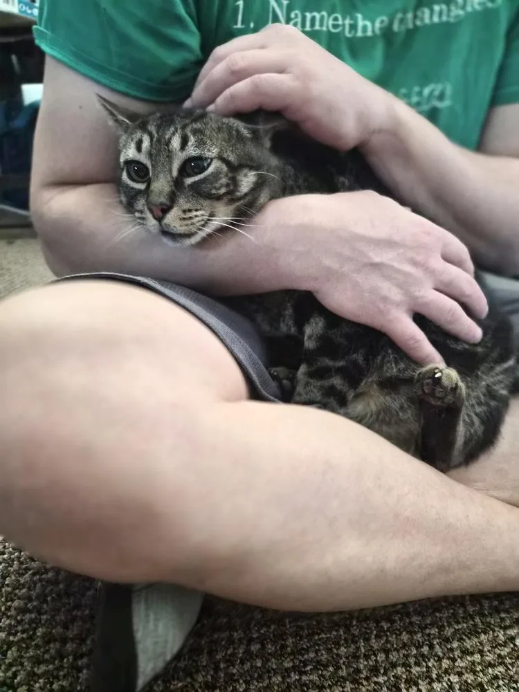 Bandit thumbnail 6