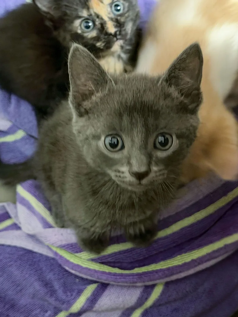 Coffee Shop thumbnail 2