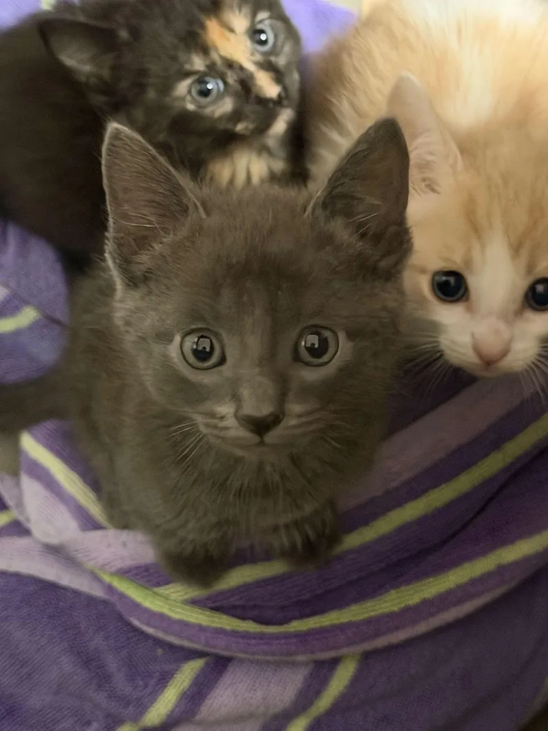 Coffee Shop thumbnail 3