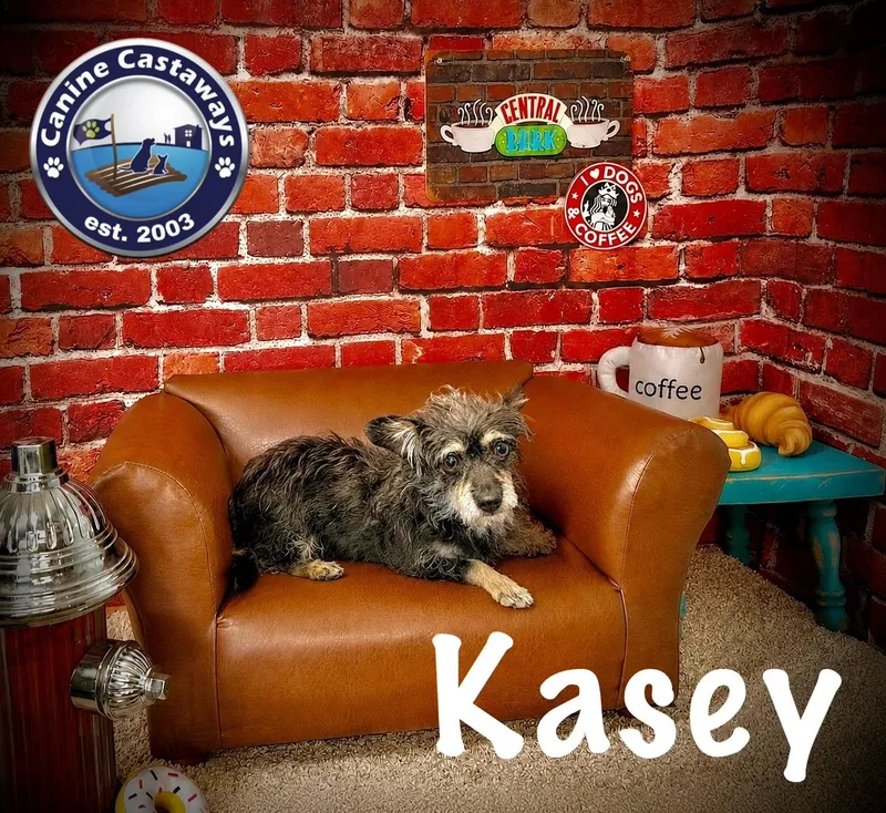Kasey thumbnail 2