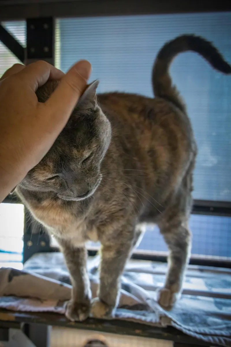 Cuddles thumbnail 3