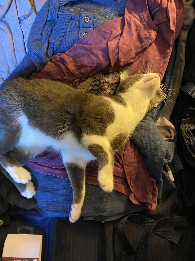 Trevor And Simon thumbnail 2