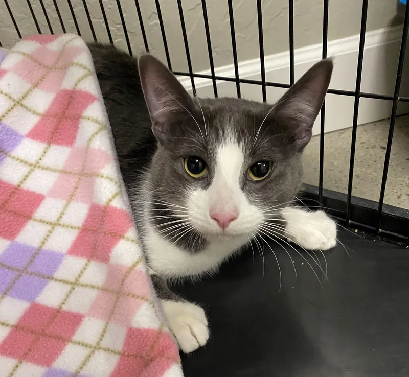 Trevor And Simon thumbnail 3