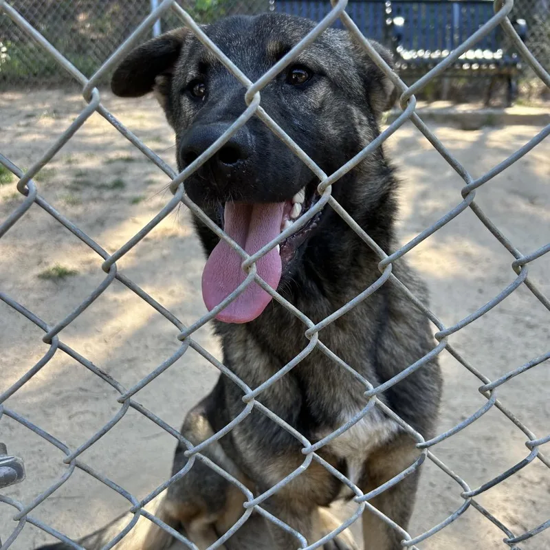 Reese's Pieces thumbnail 2