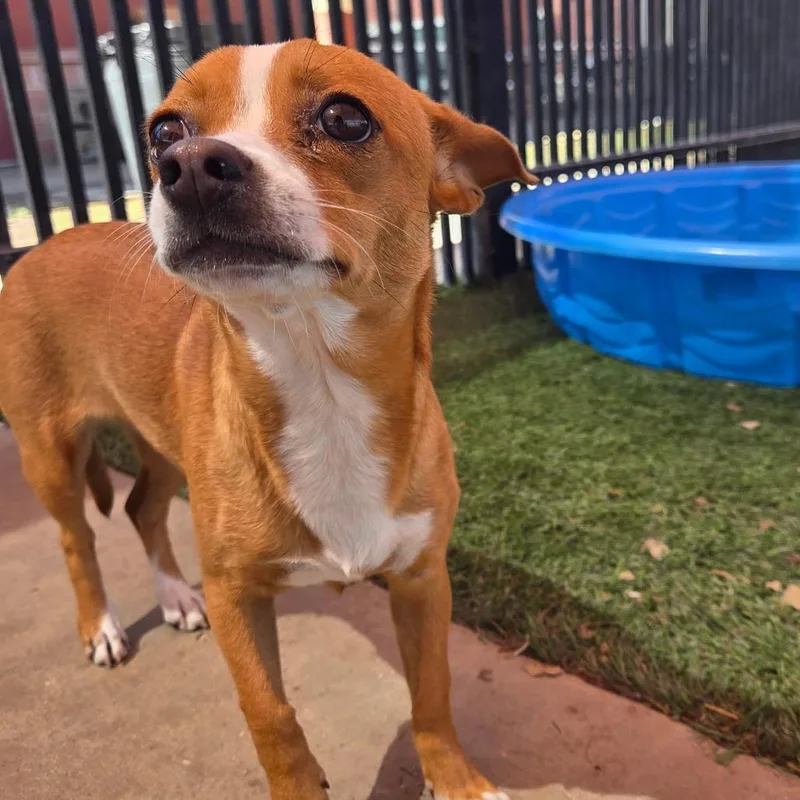 Encarnacion thumbnail 4