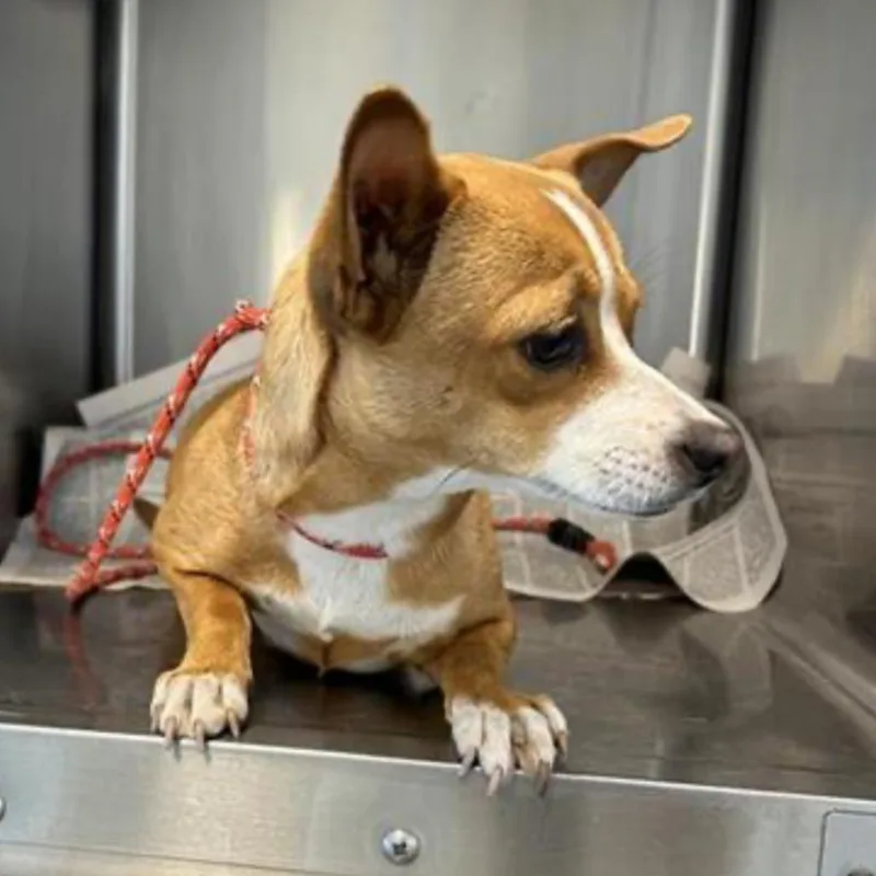 Encarnacion thumbnail 5