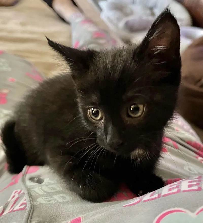 Turbulence thumbnail 2