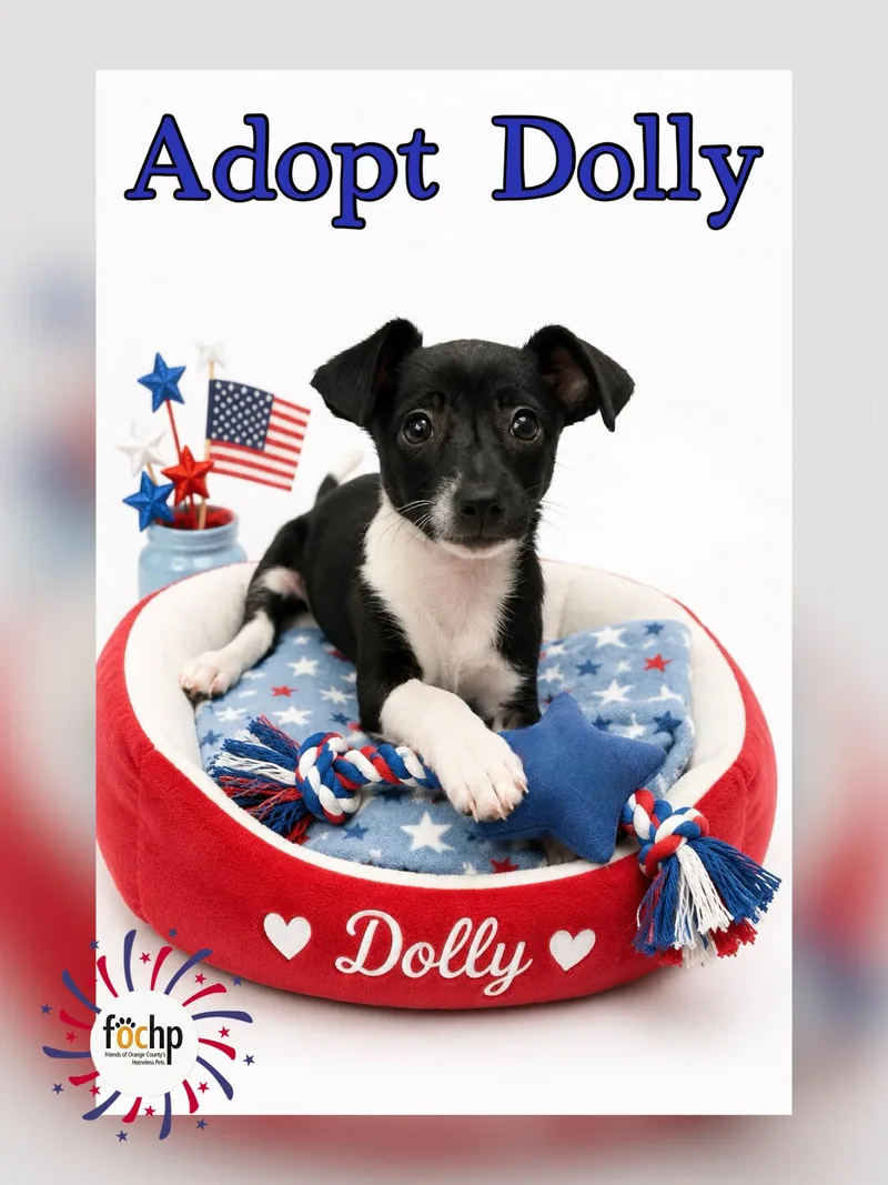 Dolly