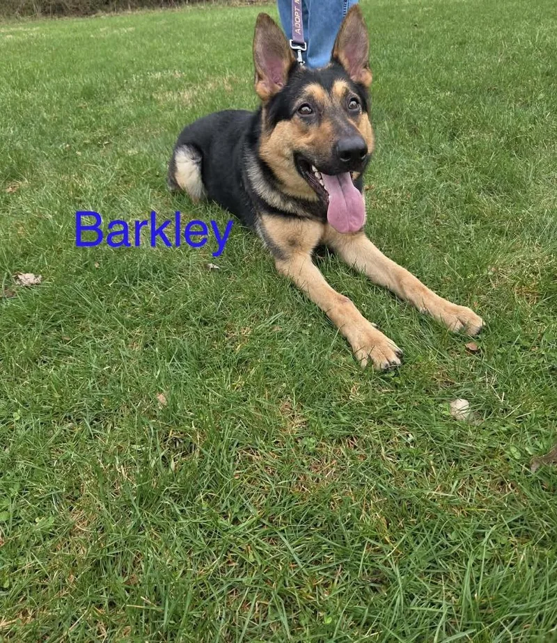 Barkley