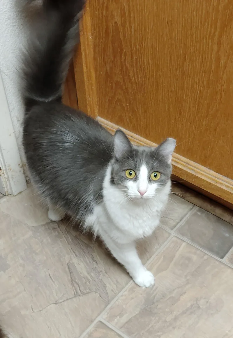 Wildflower & Blossum thumbnail 2