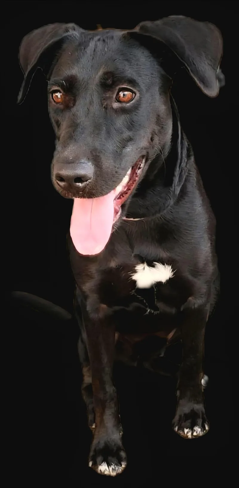 Luna Ray "your Sunshine." thumbnail 2