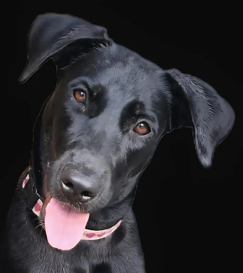 Luna Ray "your Sunshine." thumbnail 3