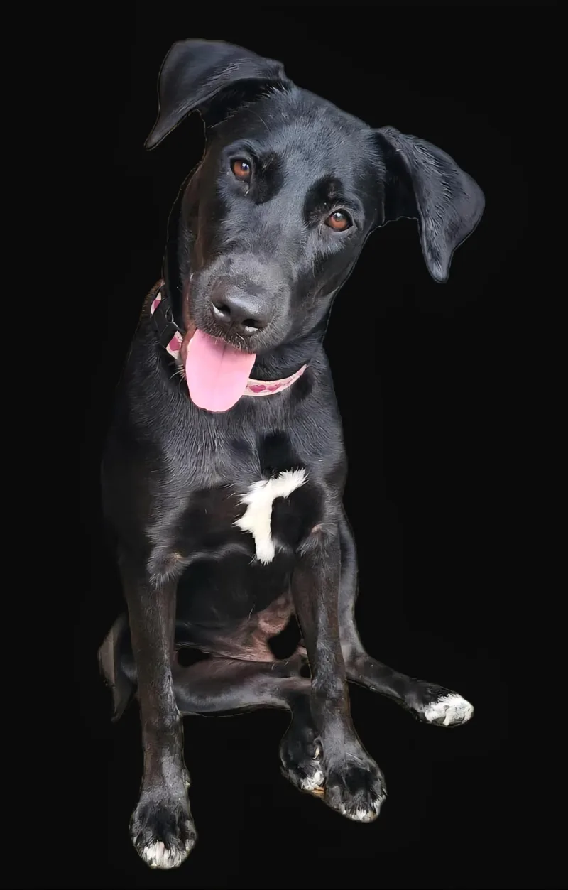 Luna Ray "your Sunshine." thumbnail 4