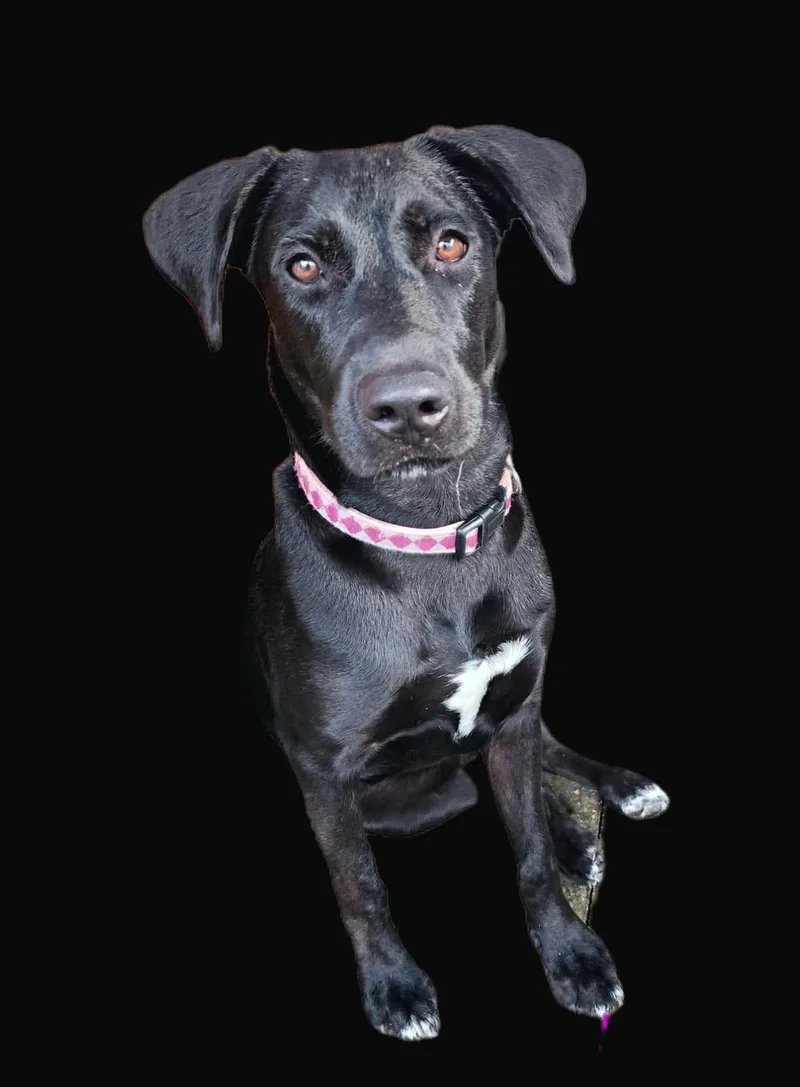 Luna Ray "your Sunshine." thumbnail 5