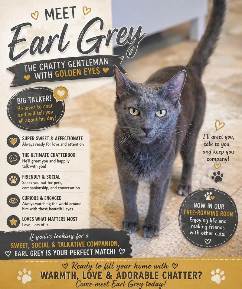 Earl Grey thumbnail 2