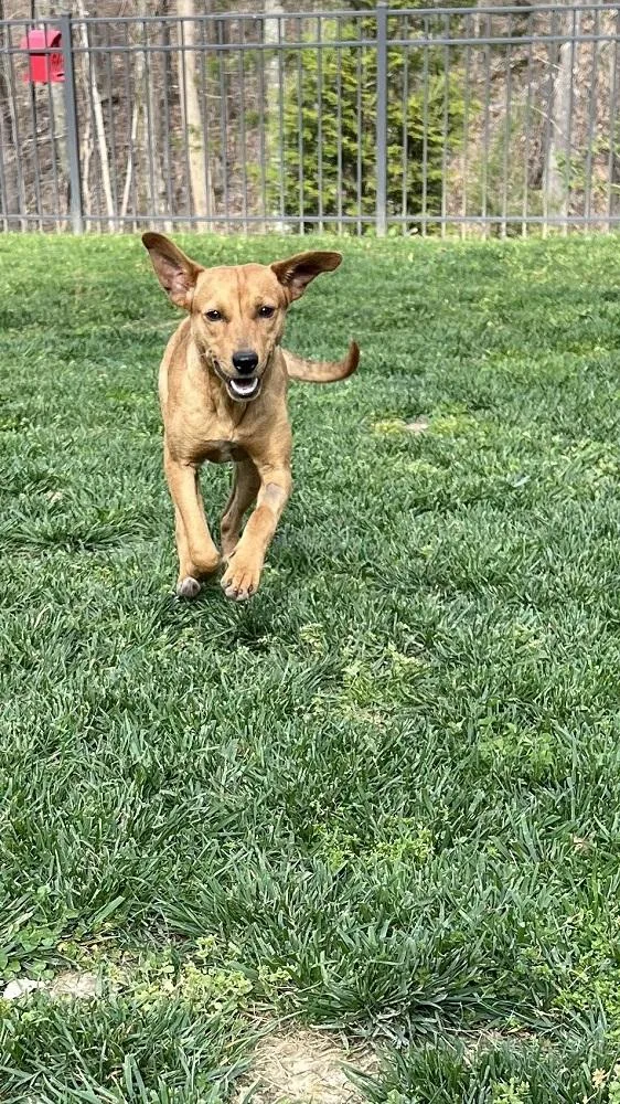 Daisy..........fee Sponsored thumbnail 2