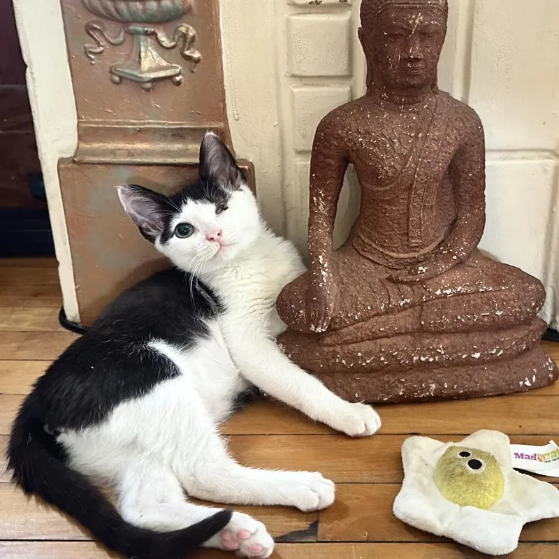 My Valentine thumbnail 3