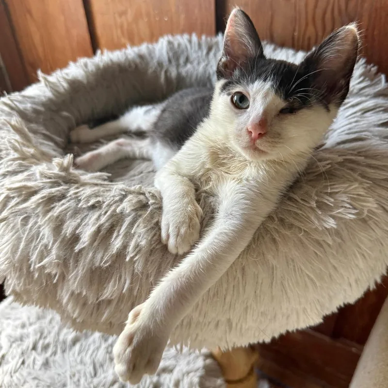 My Valentine thumbnail 4