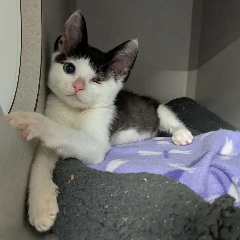 My Valentine thumbnail 6