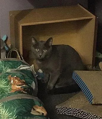 Max Bonded With Nicky thumbnail 3