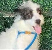 Spunky