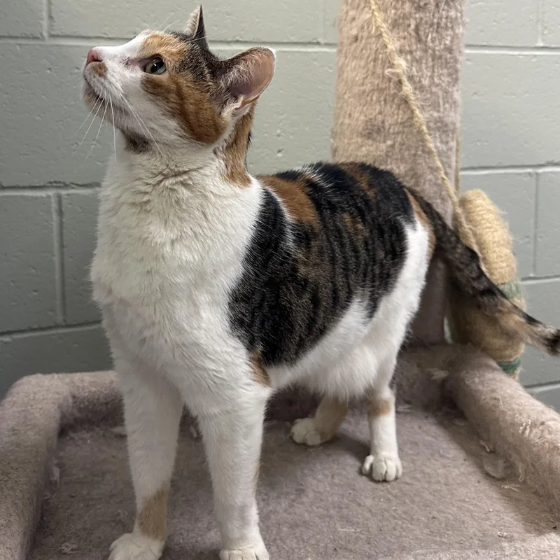 Celia & Penny thumbnail 2