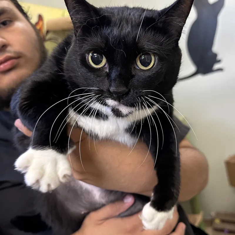 Celia & Penny thumbnail 3