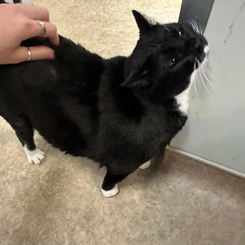 Celia & Penny thumbnail 4