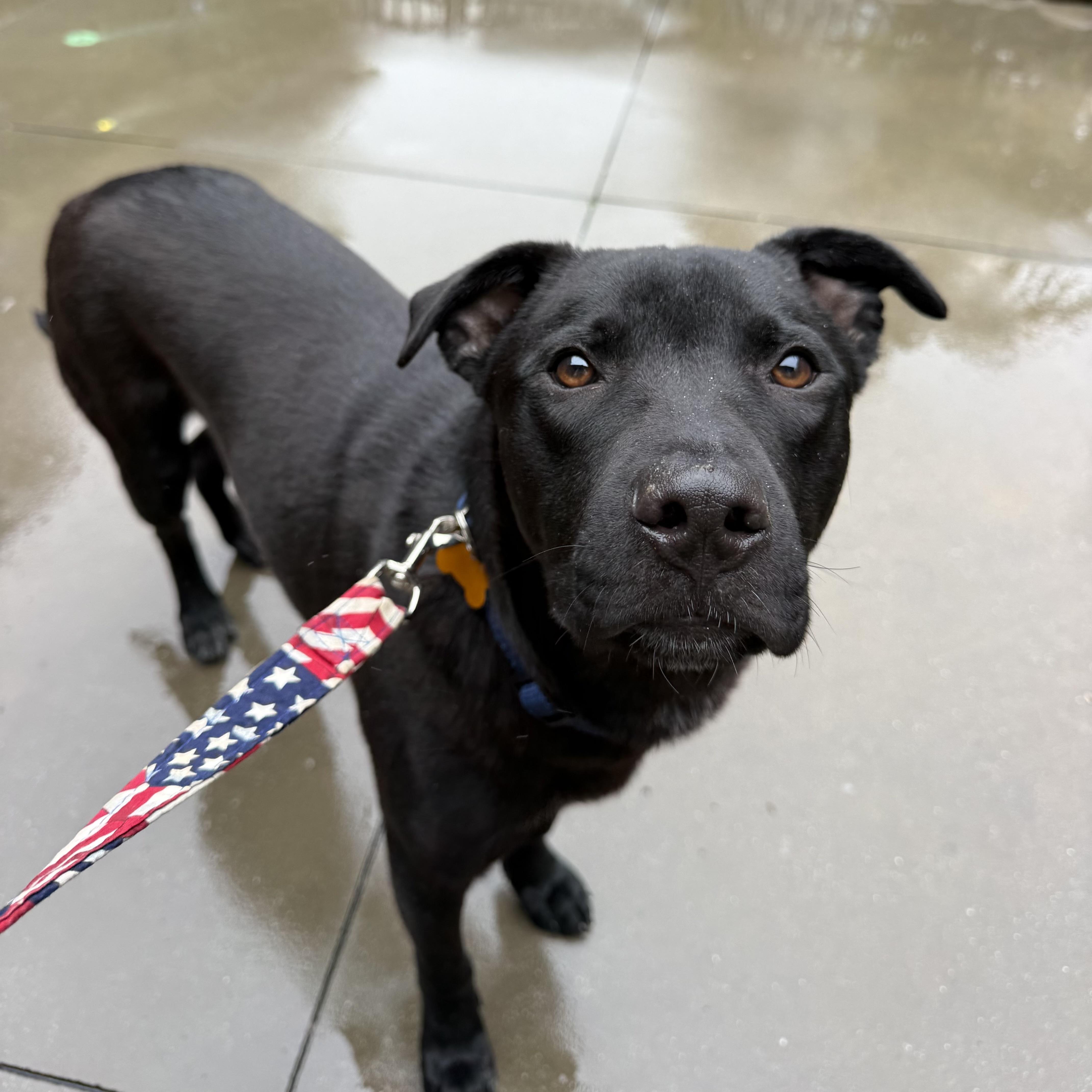 Carne Asada thumbnail 4