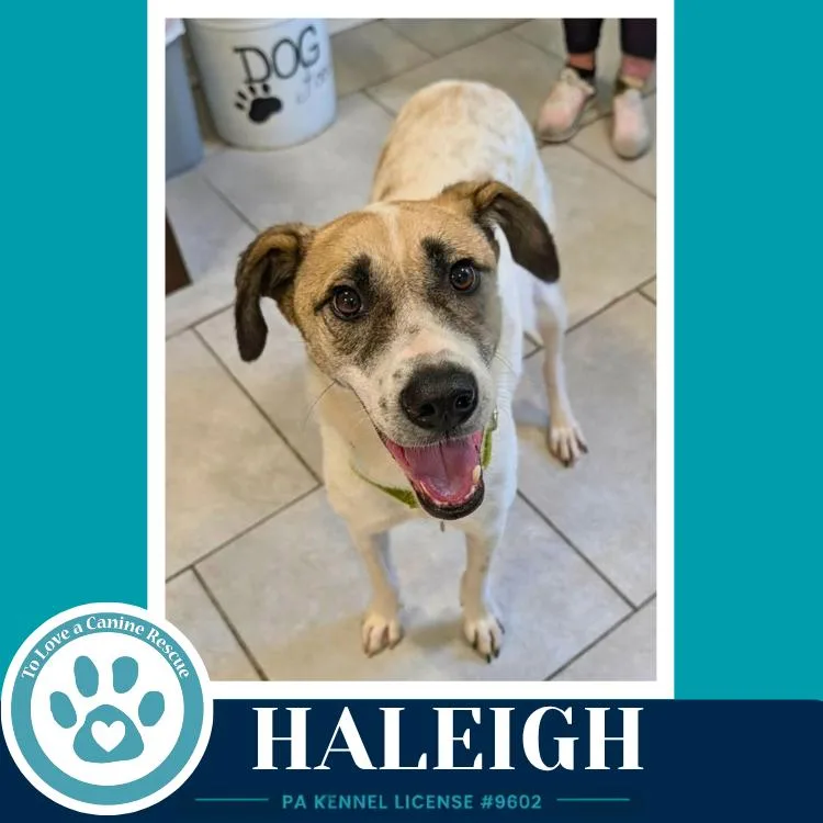 Haleigh thumbnail 2