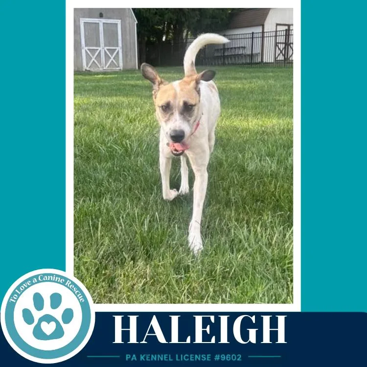 Haleigh thumbnail 3