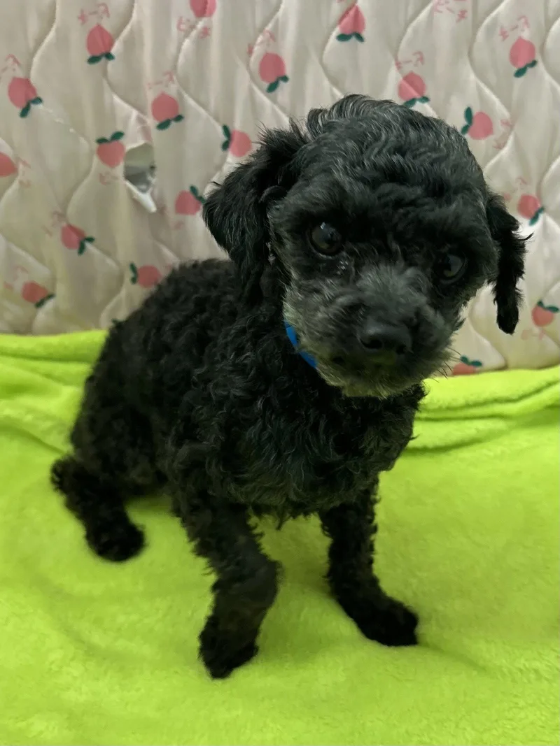 Conan Mar thumbnail 2