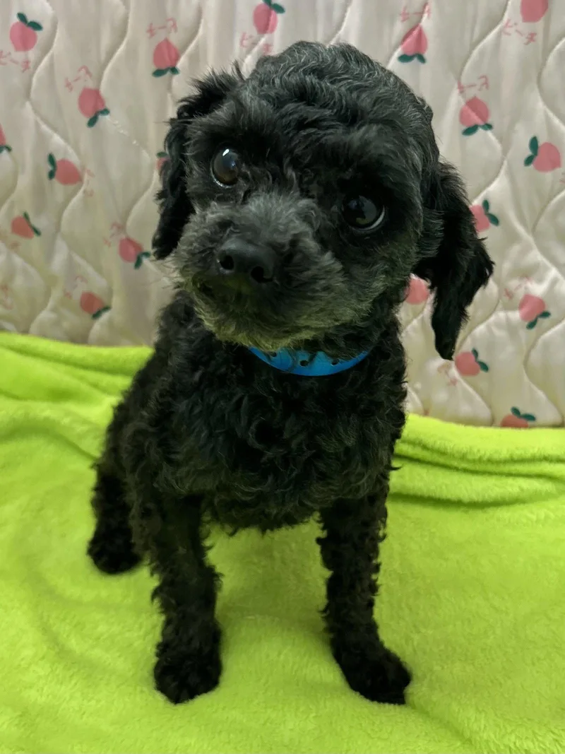 Conan Mar thumbnail 3