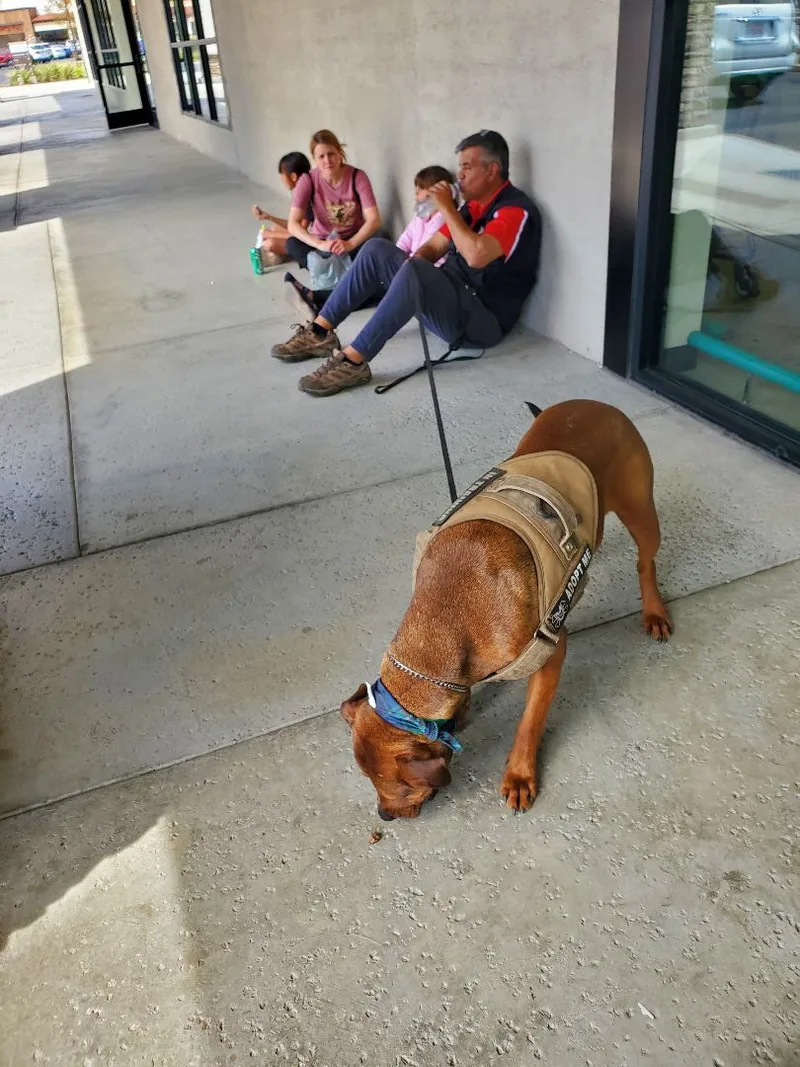 Lucy  I'm Home!!! thumbnail 4