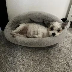 Maddie