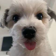 Maddie thumbnail 5