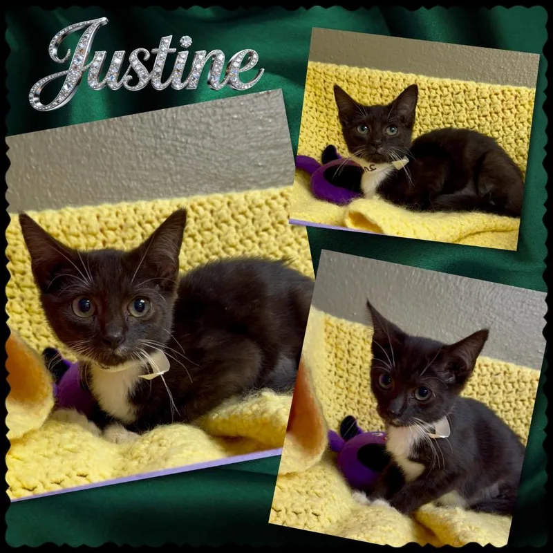 Justine