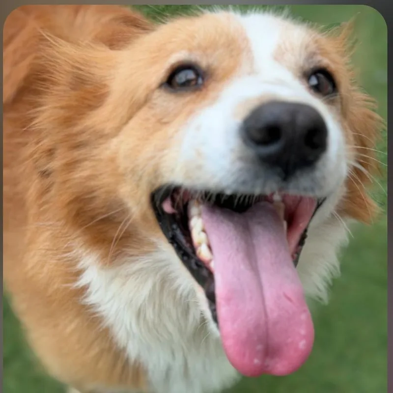 Marles Barkley thumbnail 2