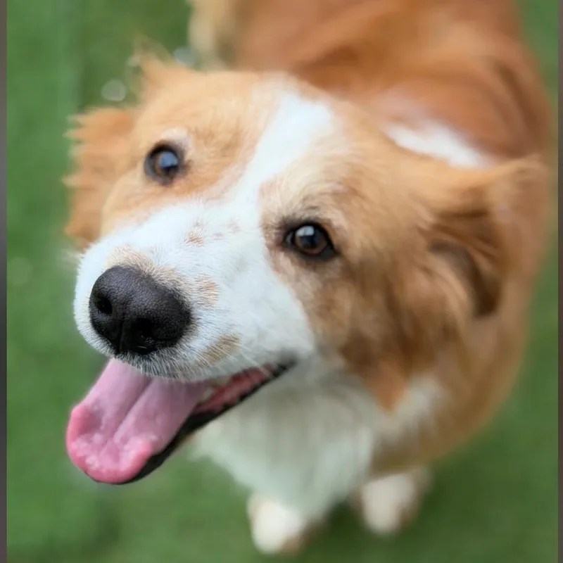 Marles Barkley thumbnail 3