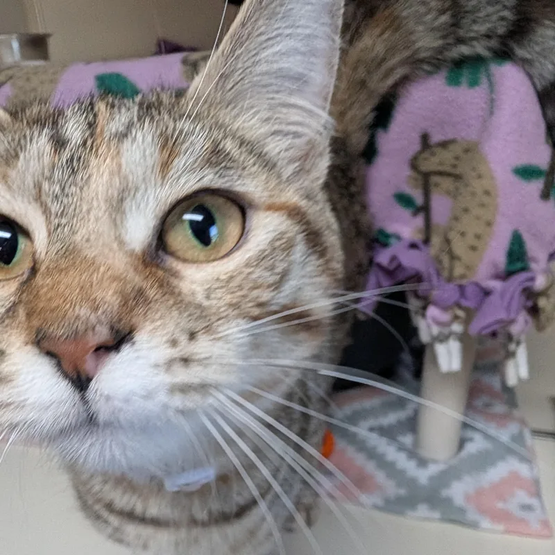 Thelma Bonded With Louise thumbnail 2