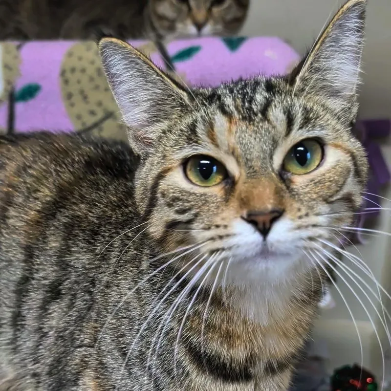 Thelma Bonded With Louise thumbnail 4